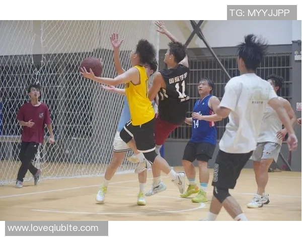 明星秀篮球激情碰撞明星风采与篮球魅力的完美结合盛宴